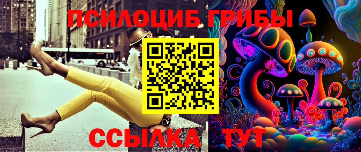 Псилоцибиновые грибы мухоморы Воронеж