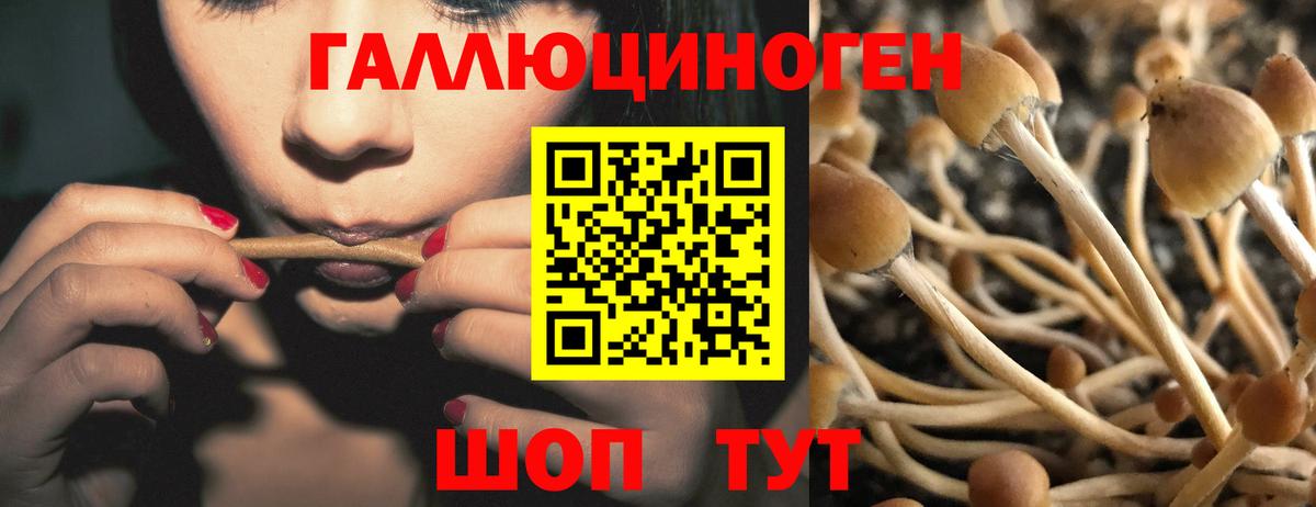 Галлюциногенные грибы мицелий  Галлюциногенные грибы мицелий  Воронеж  Вход с VPN 